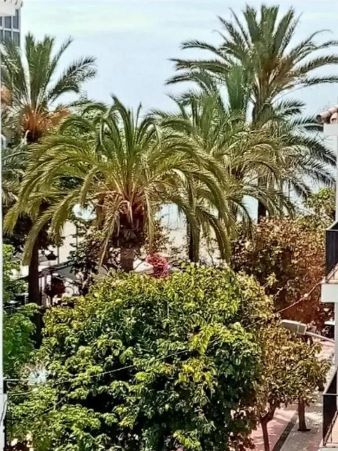 Beach Apartments Old Town II Estepona